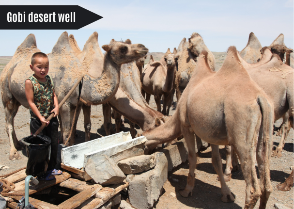 things to do in the Gobi Desert